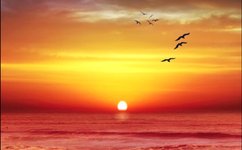 Off The Cliff